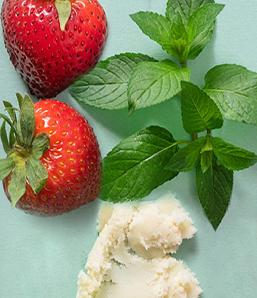 100% Natural & Organic 3-Pack Lip Balm - Image 2